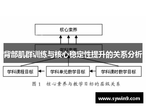 背部肌群训练与核心稳定性提升的关系分析