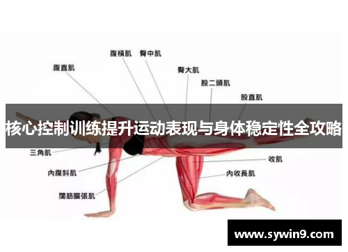 核心控制训练提升运动表现与身体稳定性全攻略